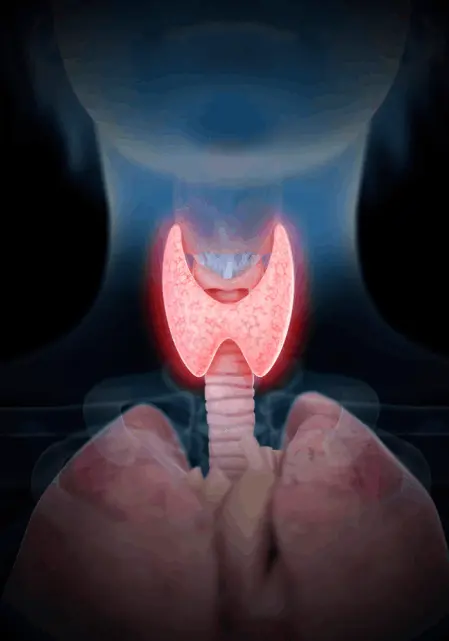Thyroid Health